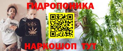 хмурый Сланцы