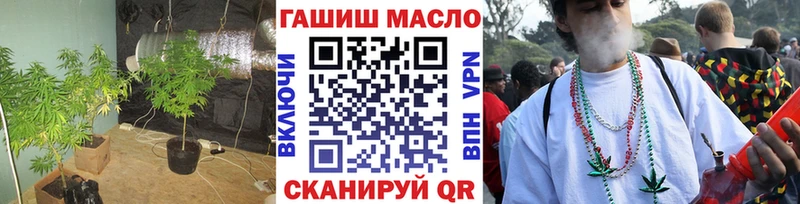 MEGA ссылки  Сунжа  ТГК концентрат 