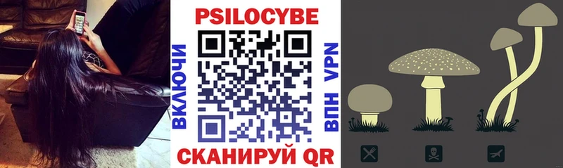 hydra как зайти  Сунжа  Псилоцибиновые грибы GOLDEN TEACHER 