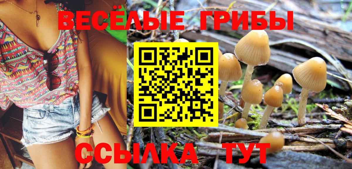 Альфа ПВП Сунжа
