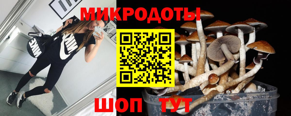 Псилоцибиновые грибы мухоморы Сунжа